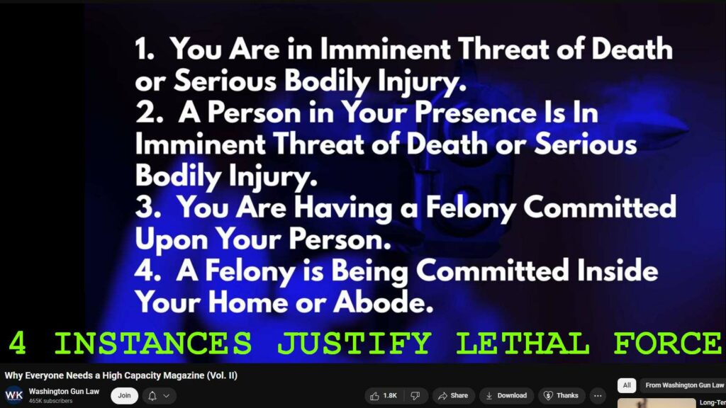 Even Blacks say Shoot the All-Black Mob